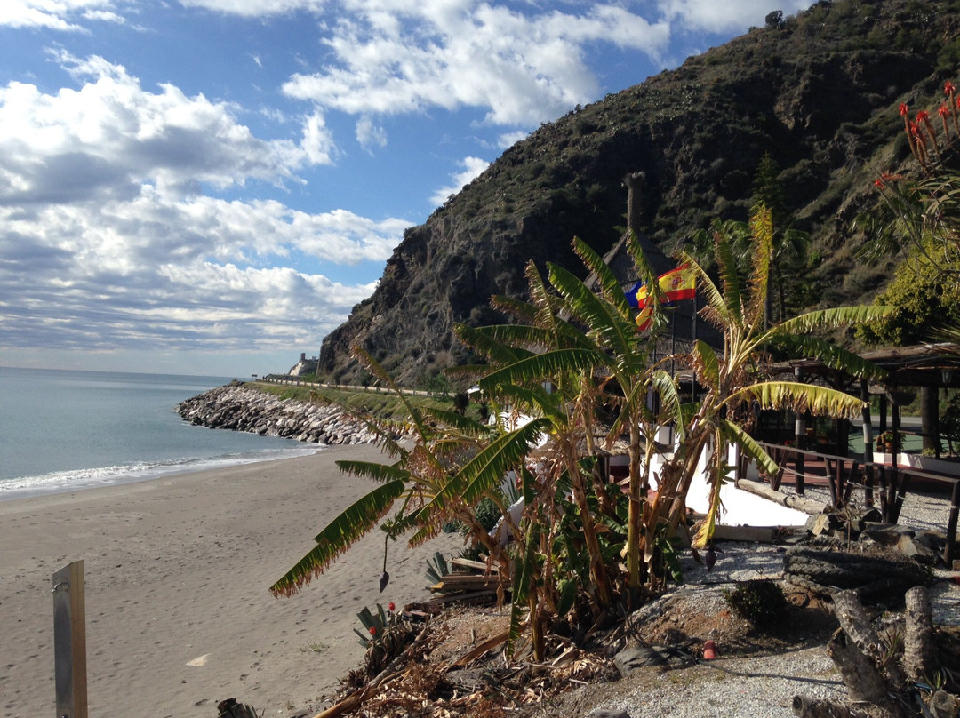 Playa de Wilches景点图片