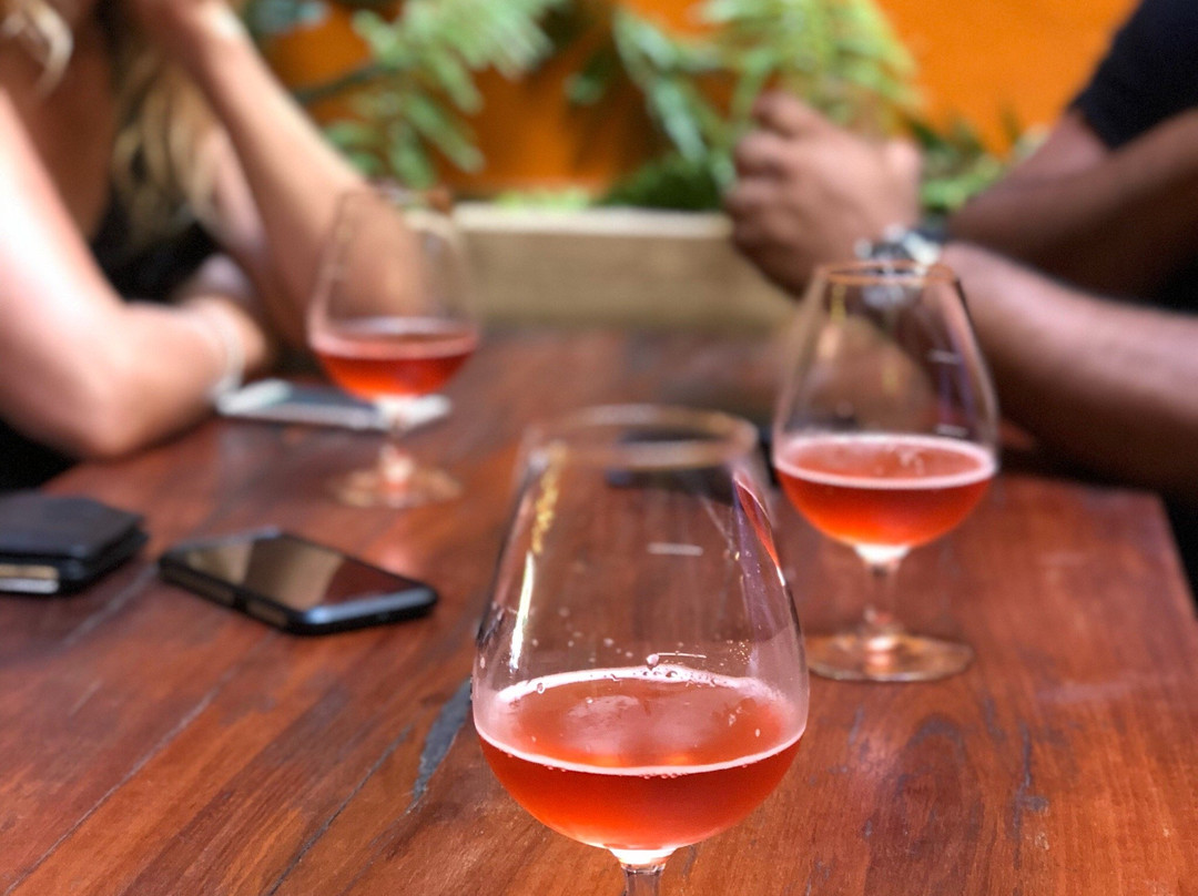Craft Beer College景点图片