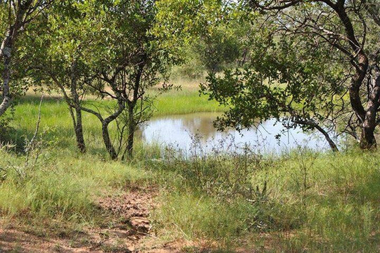 Unathi Game Lodge主图