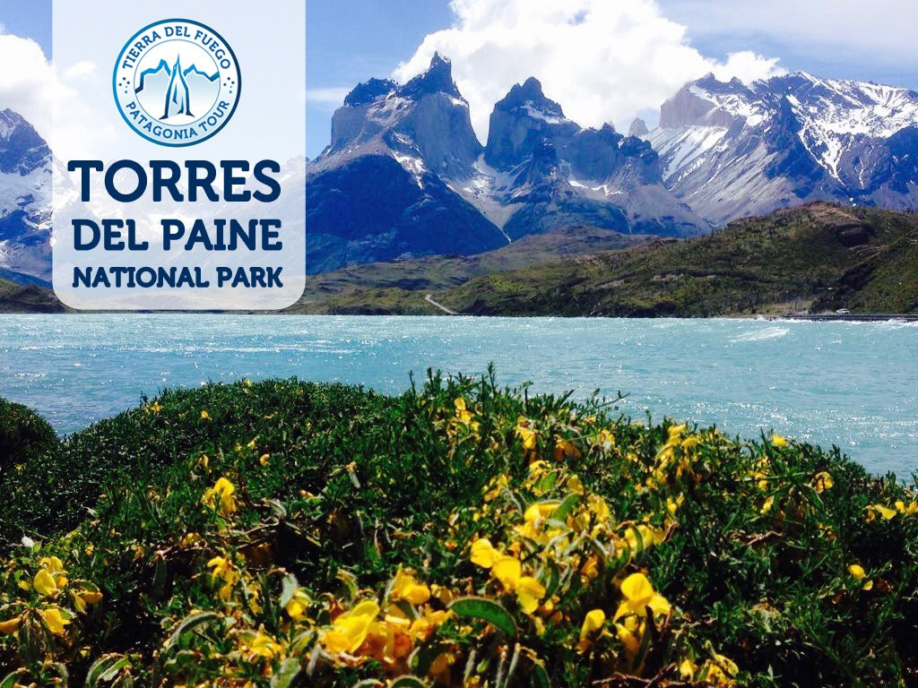 TDF Patagonia TOUR景点图片