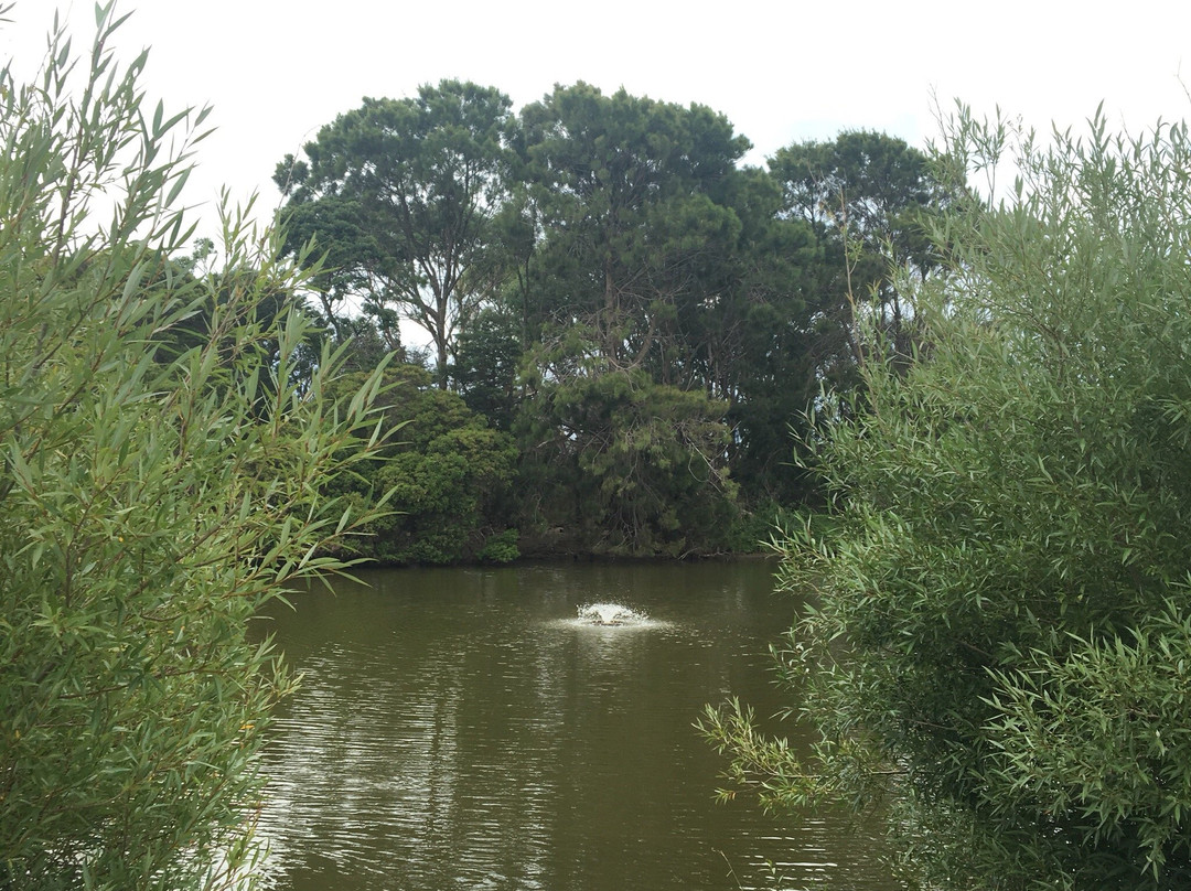 Civic Reserve Recreation Centre景点图片