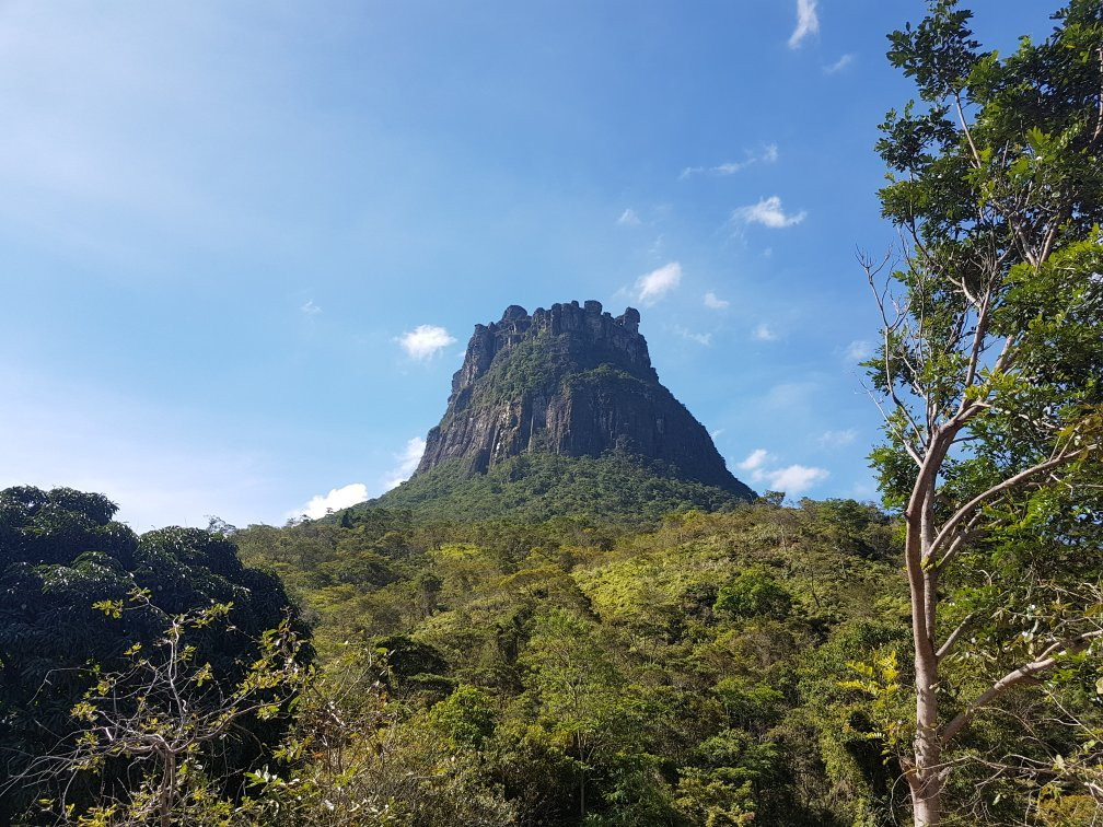 Morro do Castelo景点图片