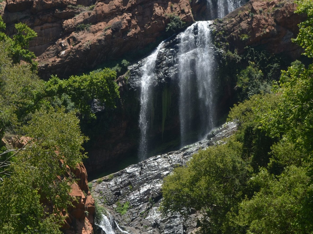 Walter Sisulu National Botanical Gardens景点图片