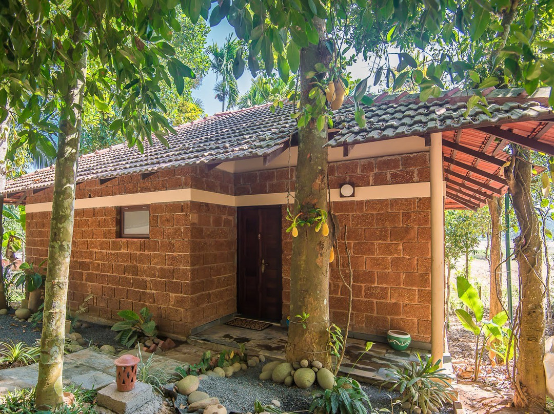 Raindrops Resorts主图