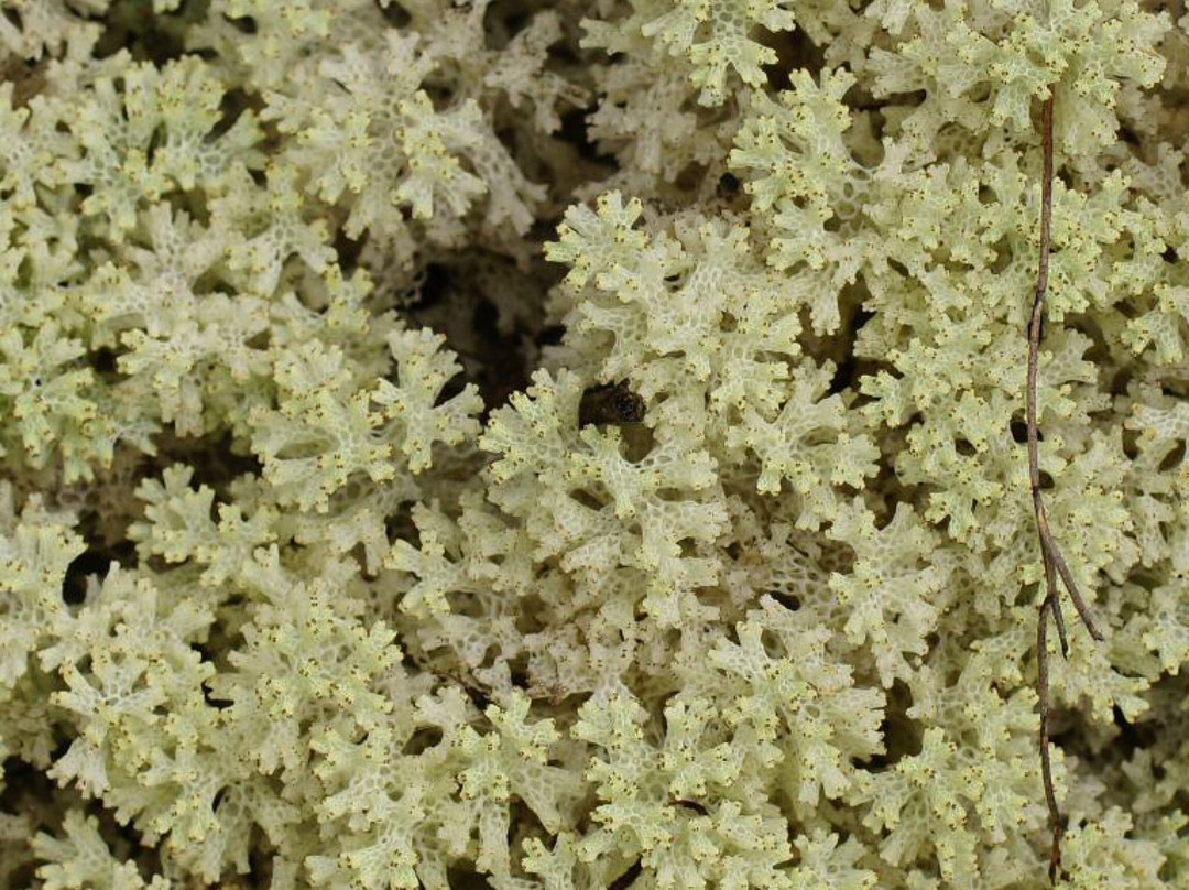 Adams Creek Conservation Reserve-Nyora必去景点