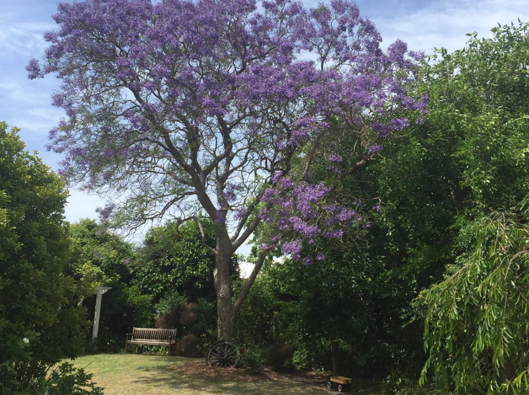Sunnyhurst Wines-布里奇敦必去景点