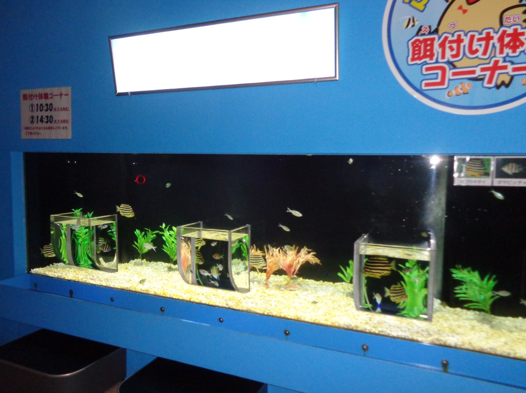 Moguranpia Machinaka Aquarium-久慈市必去景点