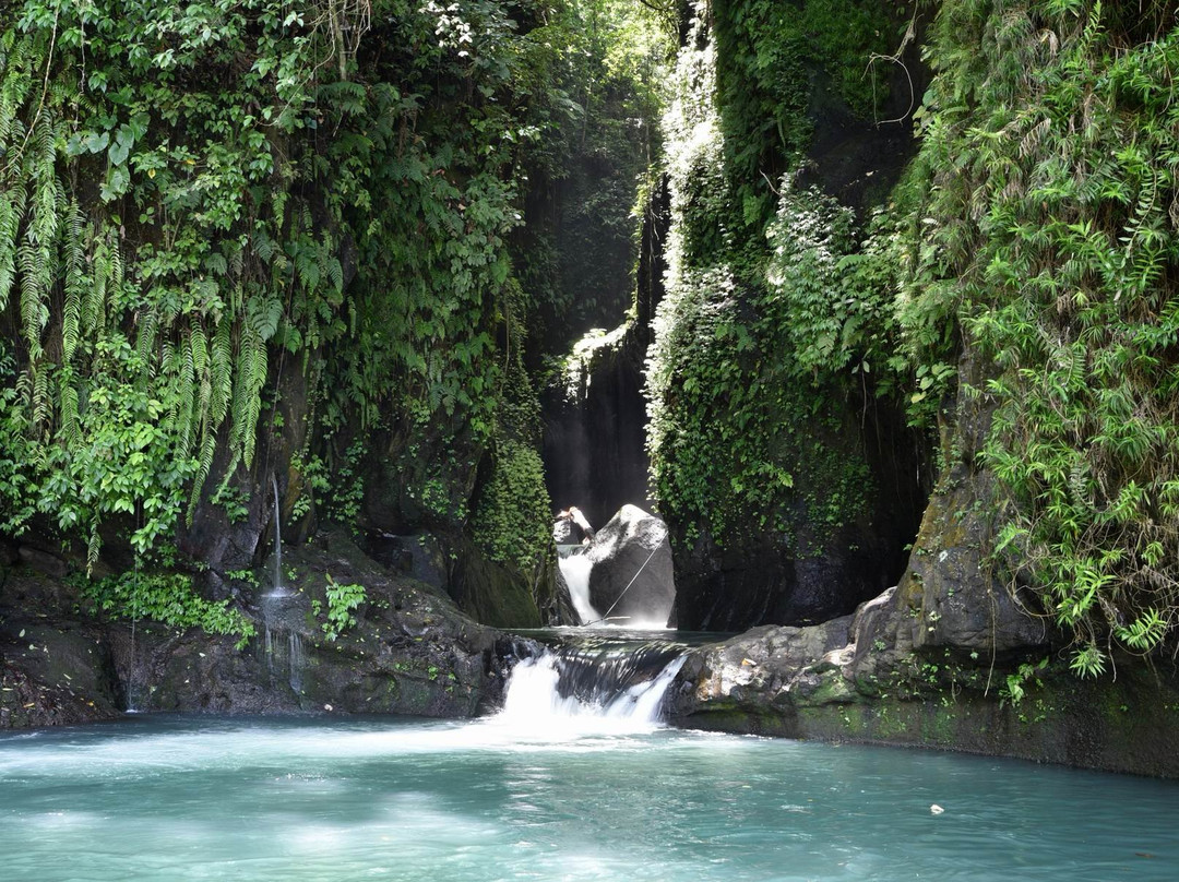 Pucak Sari Waterfall景点图片