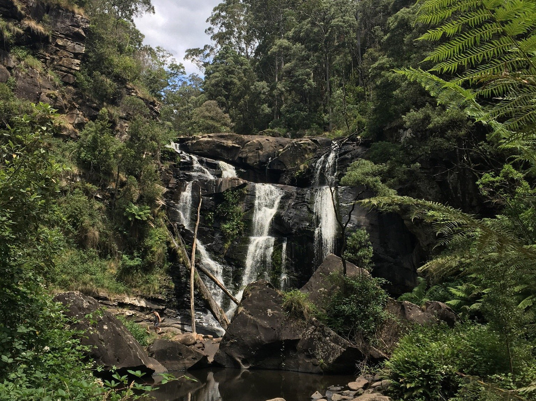 Stevensons Falls景点图片