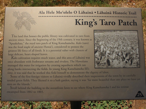 The King's Taro Patch-拉海纳必去景点