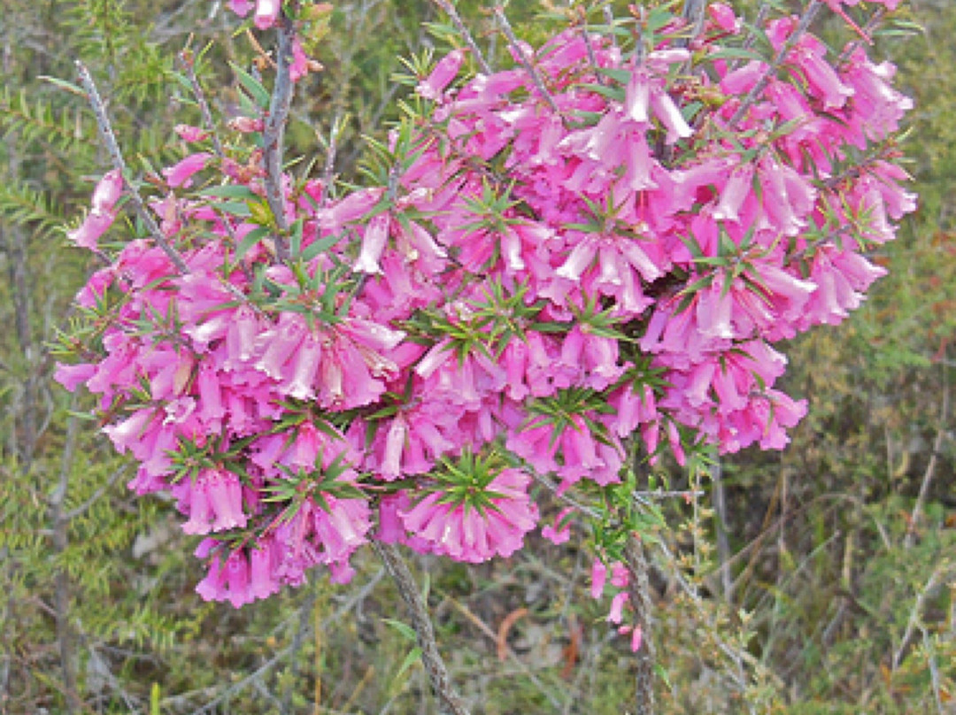 Tower Hill-贺思盖必去景点