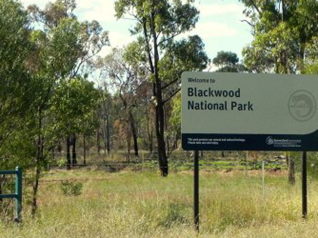 Blackwood National Park景点图片