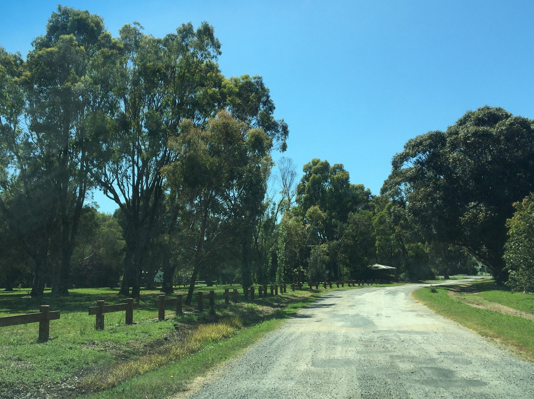 Franklin River Reserve-Toora必去景点