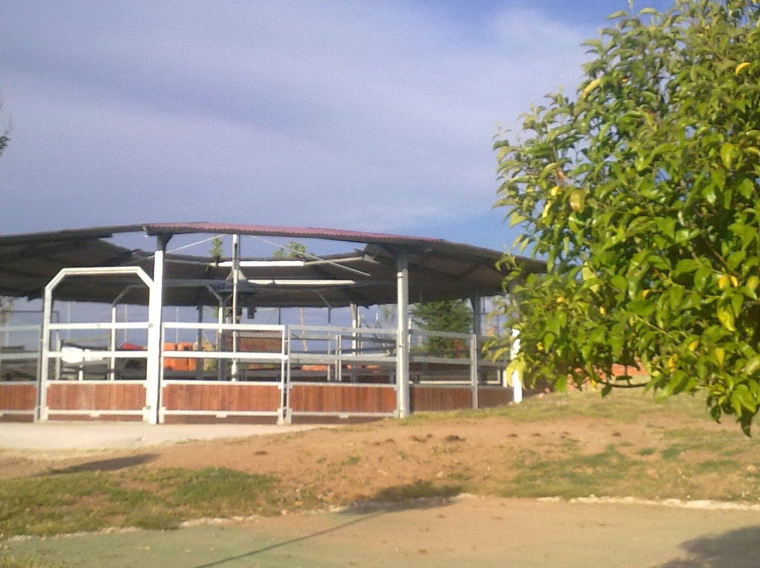 Centro Hípico El Paseo景点图片