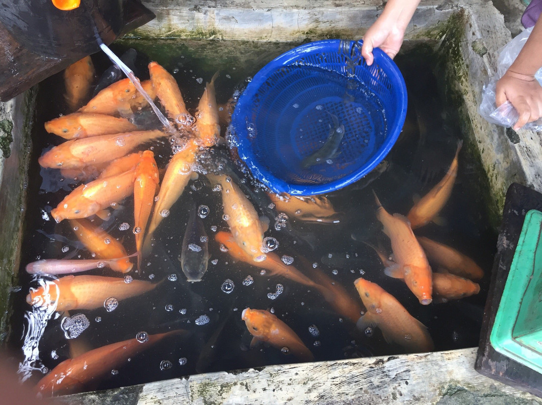 Bukit Lawang Friday Market-武吉拉旺必去景点