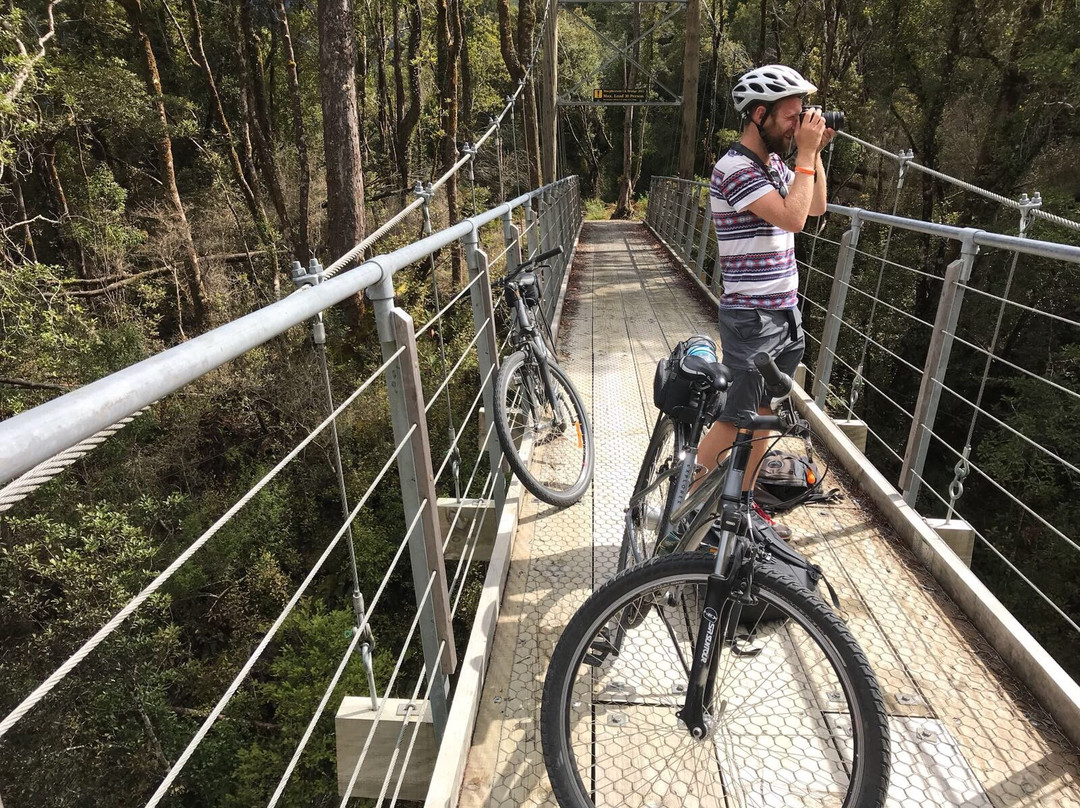 Wilderness Trail Shuttle & Cycles景点图片