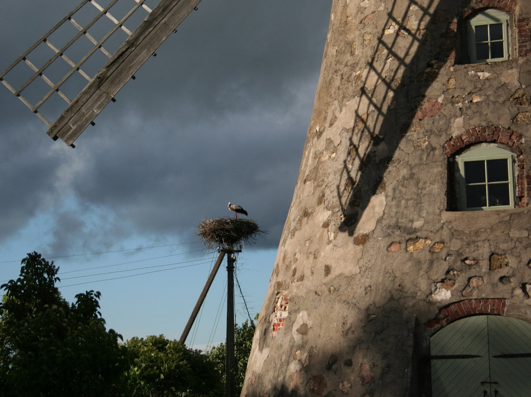 Araishi wind mill