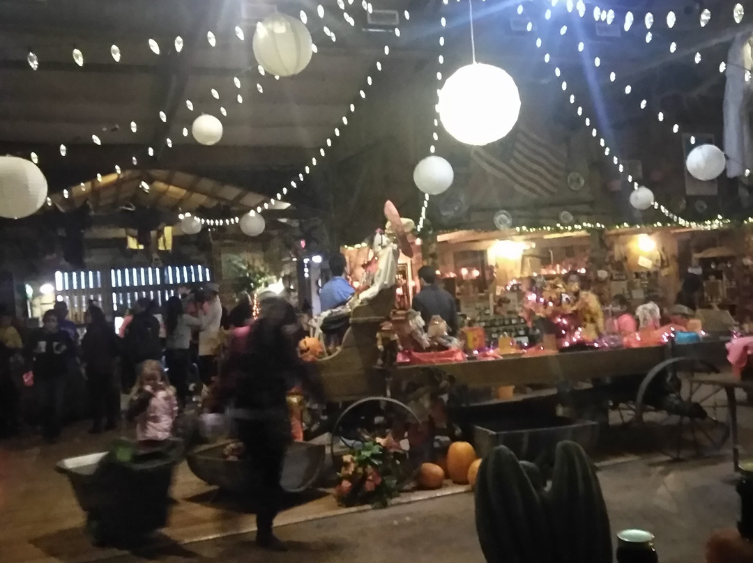 Bellevue Berry and Pumpkin Ranch景点图片