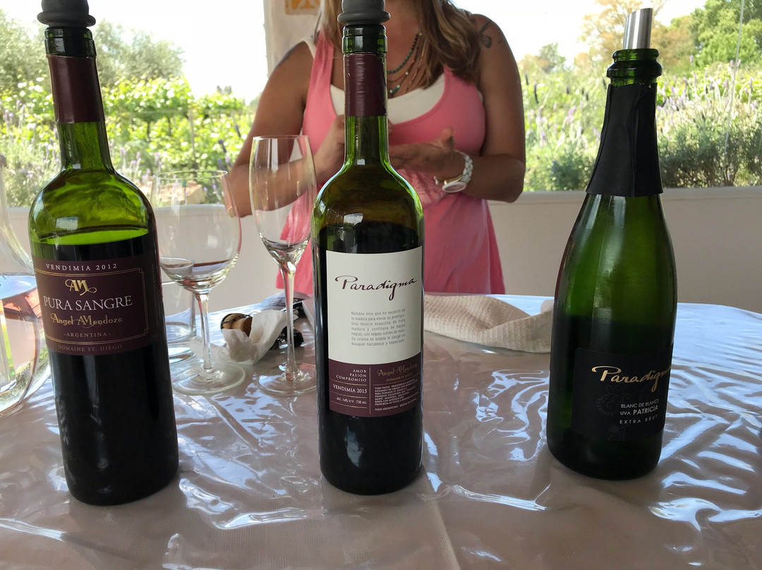 Domaine St Diego景点图片