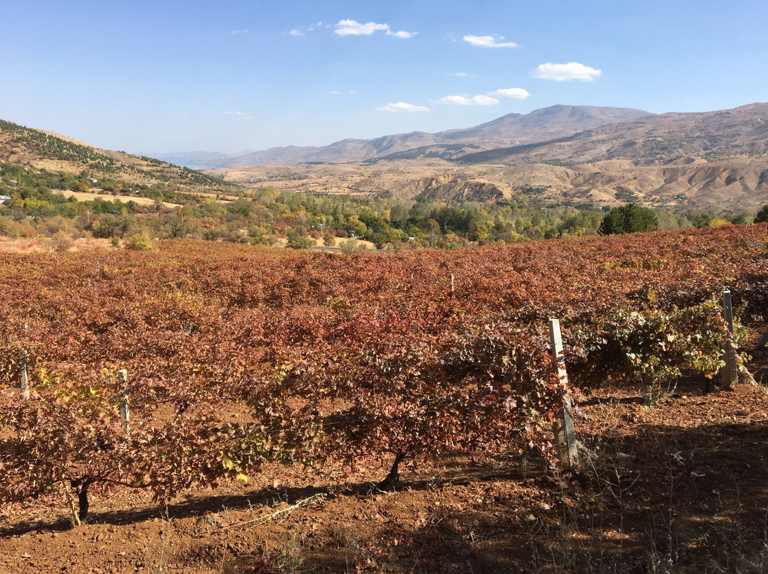 Eskibaglar-Sivrice必去景点