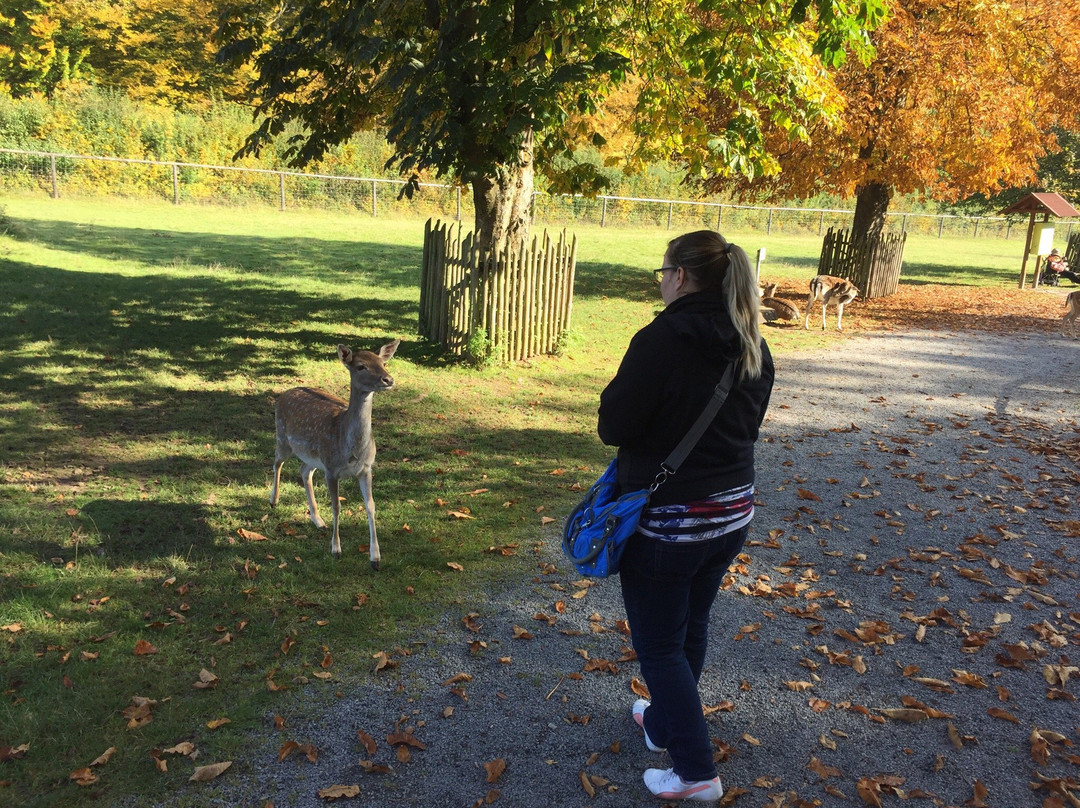 Wildpark Klaushof景点图片