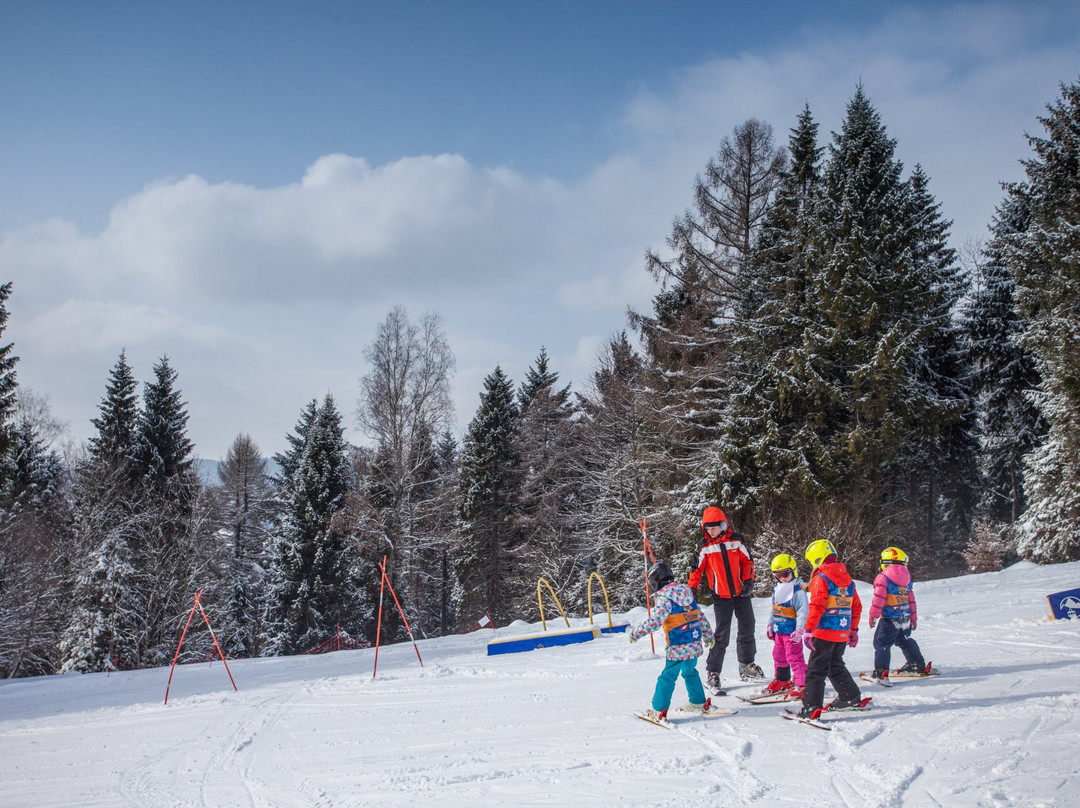 Kolej Linowo Terenowa Gora Parkowa景点图片