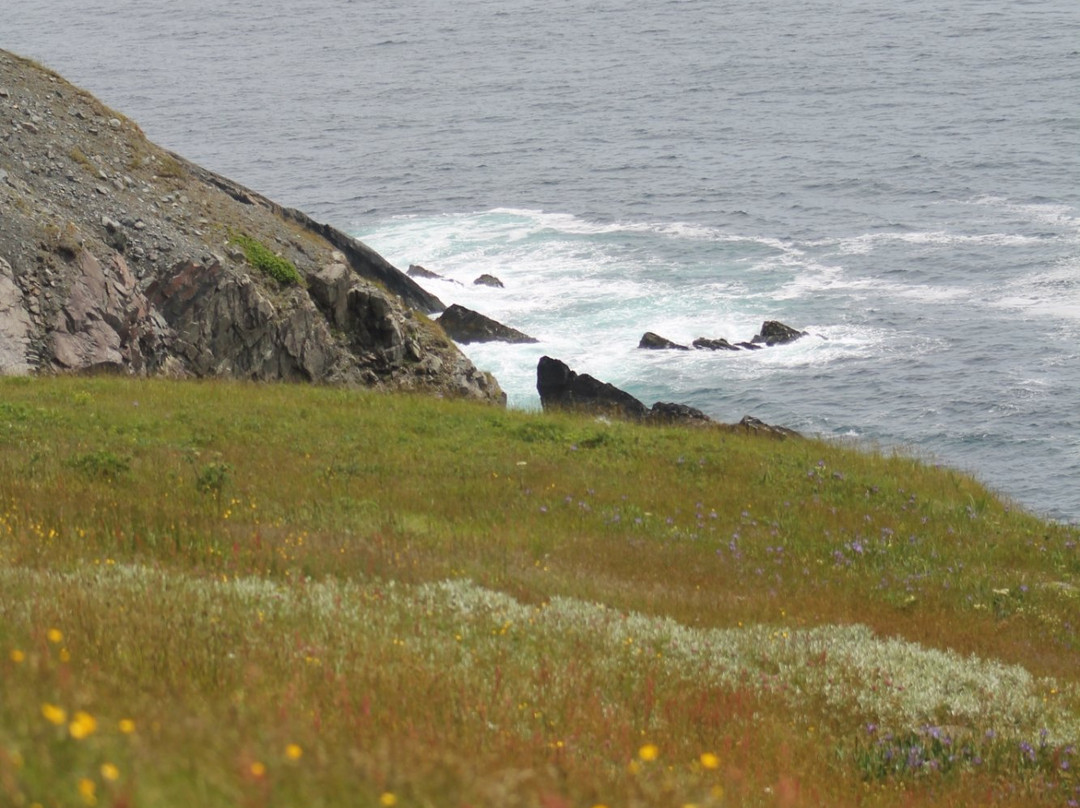 Cape Pine Lighthouse景点图片