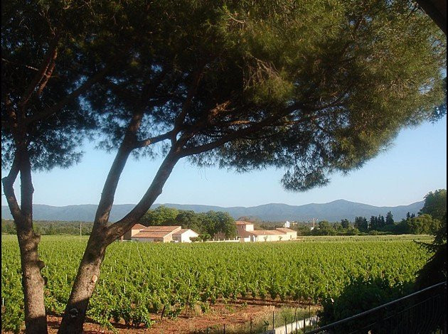 Chateau Paradis-Le Luc必去景点