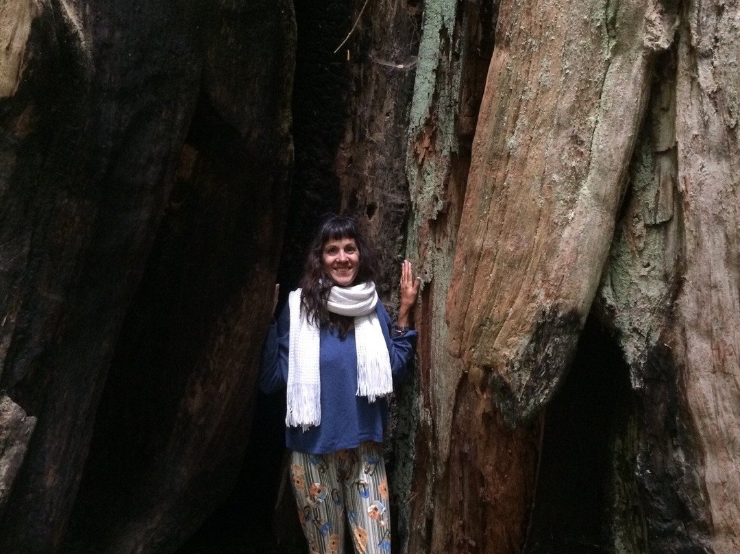 Bowen Island Tours-Bowen Island必去景点