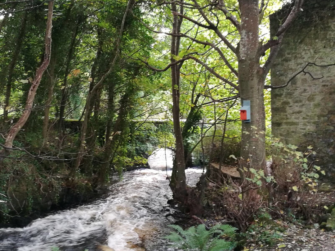 The Abbey Mill-Ballyshannon必去景点