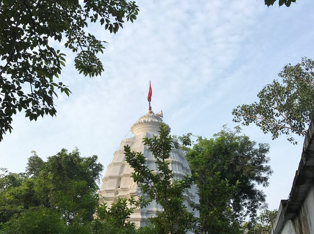 Budharaja Temple景点图片