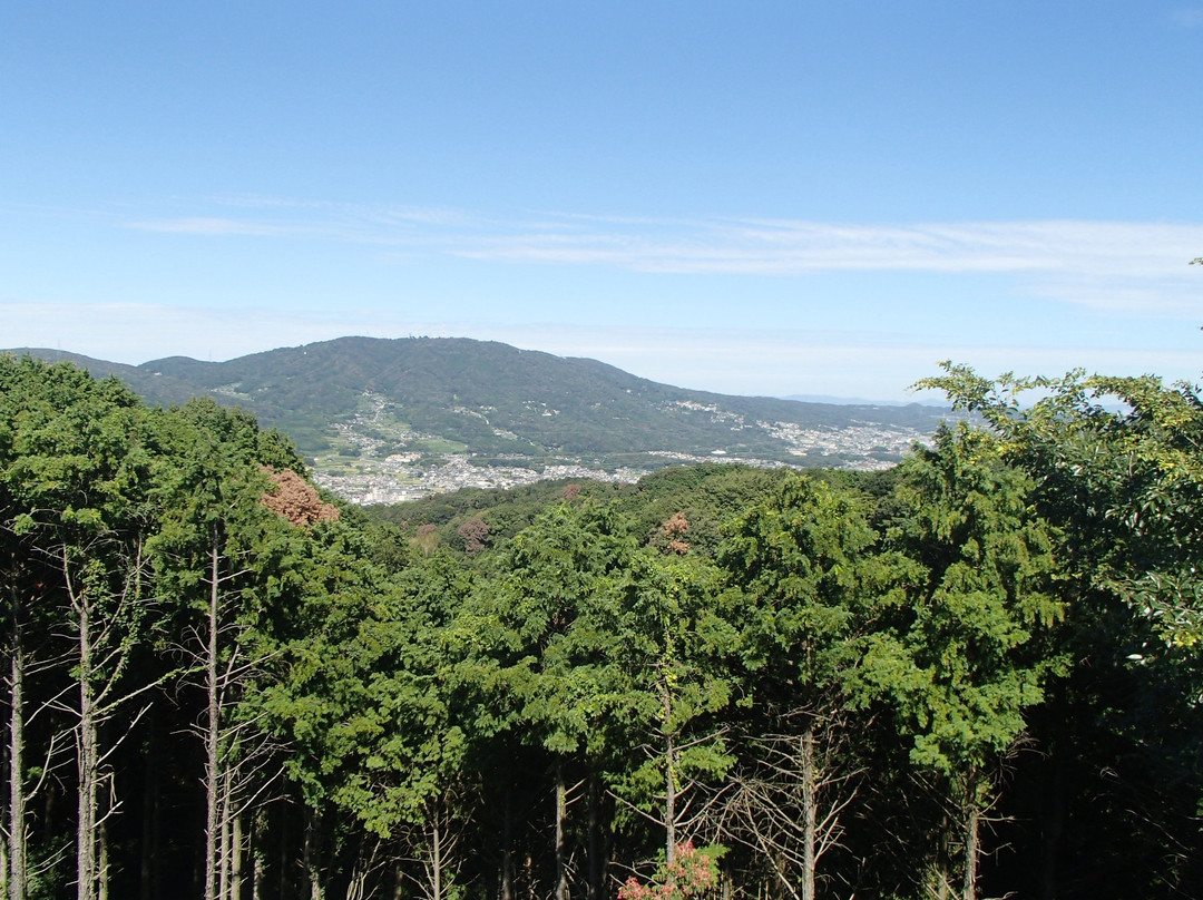 Yatayama Asobino-mori景点图片