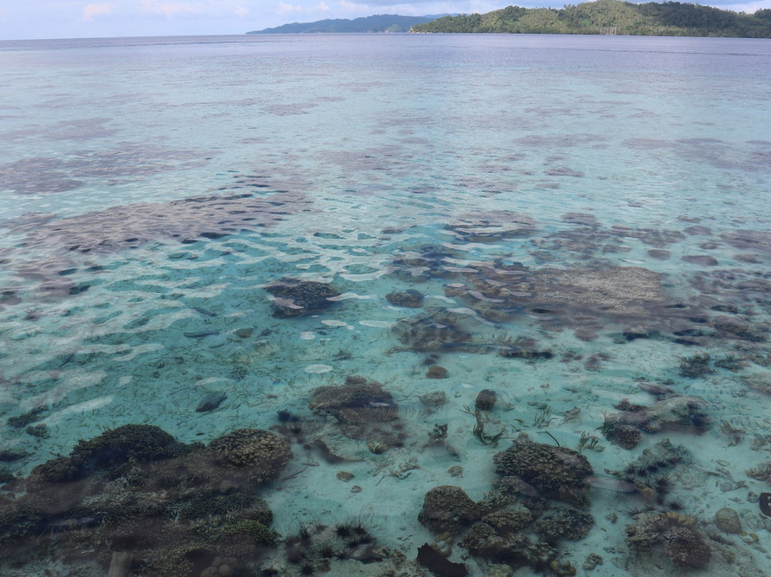 Papan Island-Katupat必去景点