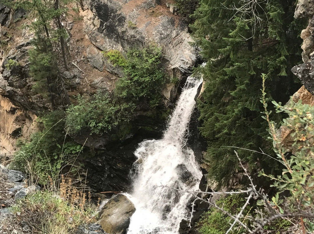 Falls Creek Falls Trail Head景点图片