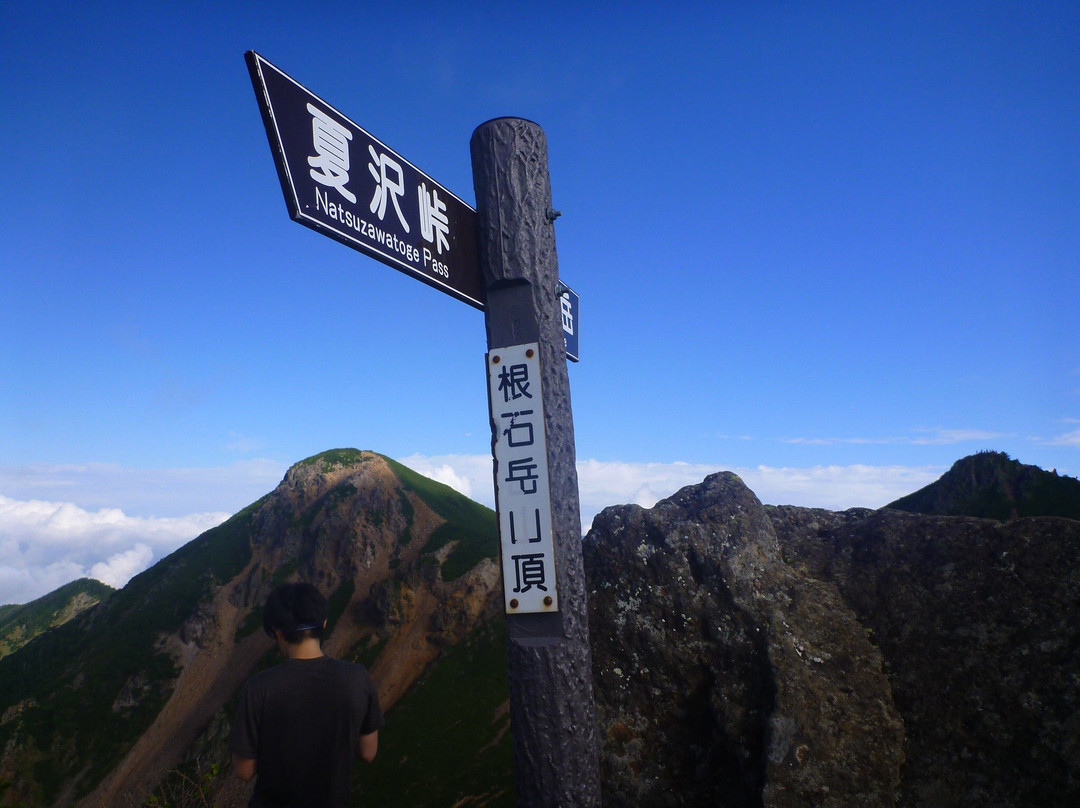 Mt. Neishi-茅野市必去景点