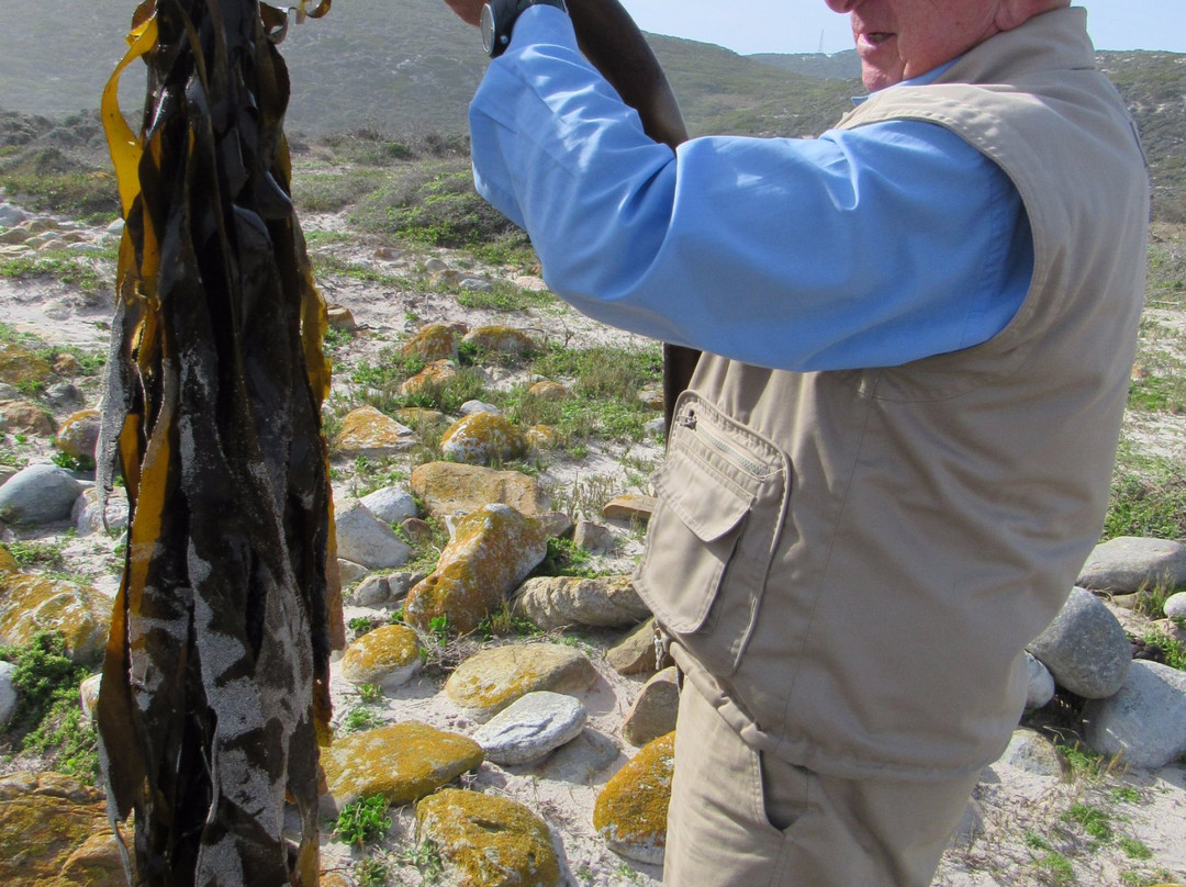 Cape Fun Tours-西门镇必去景点