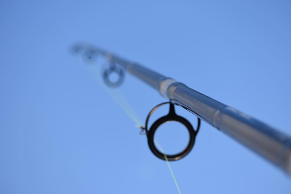 Wet N Ready Too Sportfishing景点图片