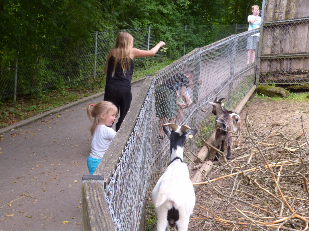 Schwarzwaldzoo Waldkirch景点图片