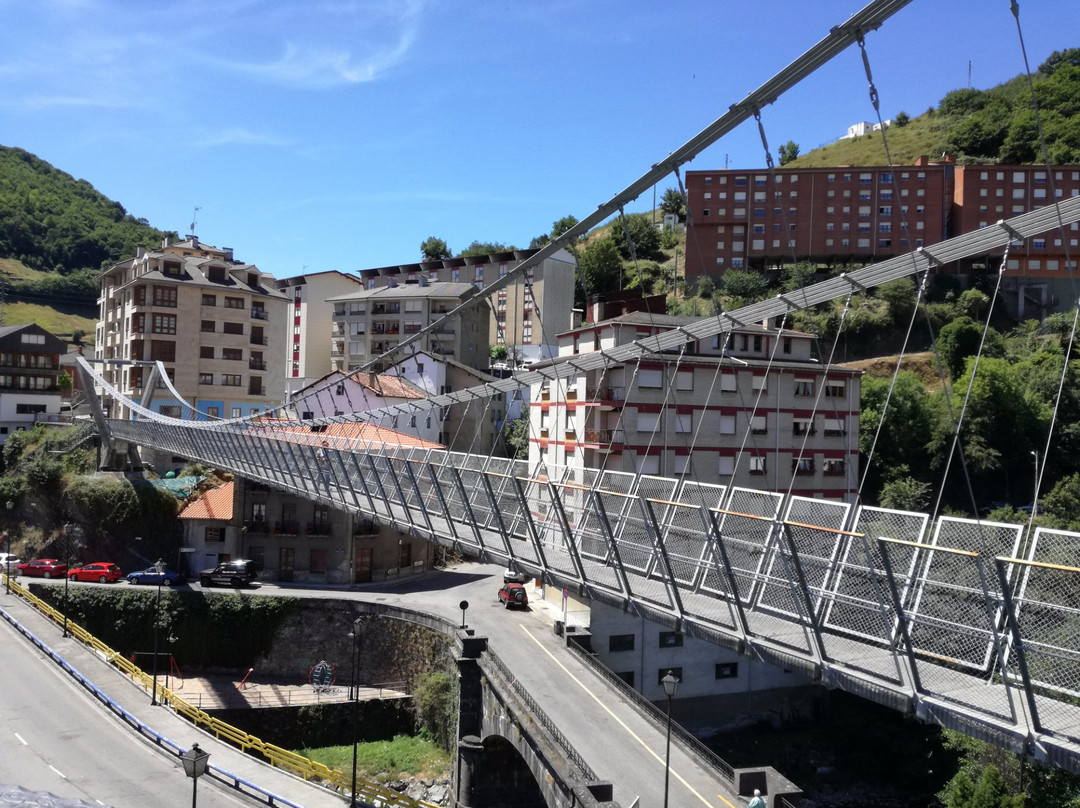 Puente Colgante Cangas del Narcea景点图片