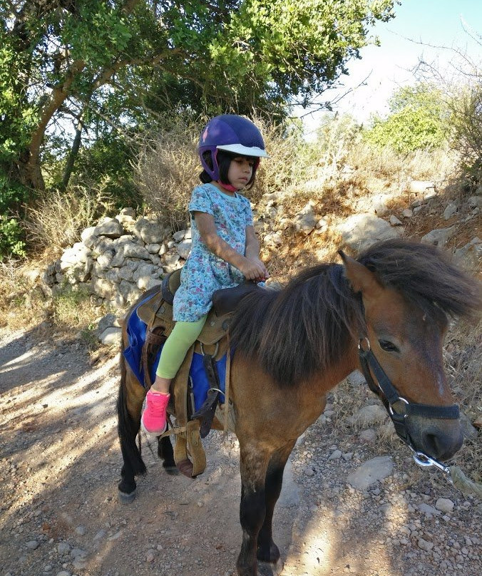 CountrySide Pony Algarve景点图片