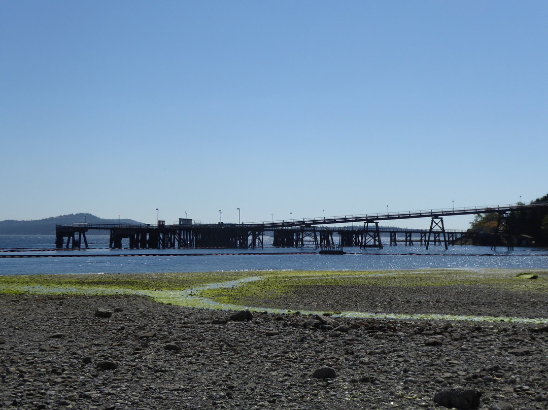 Manley Creek Park景点图片
