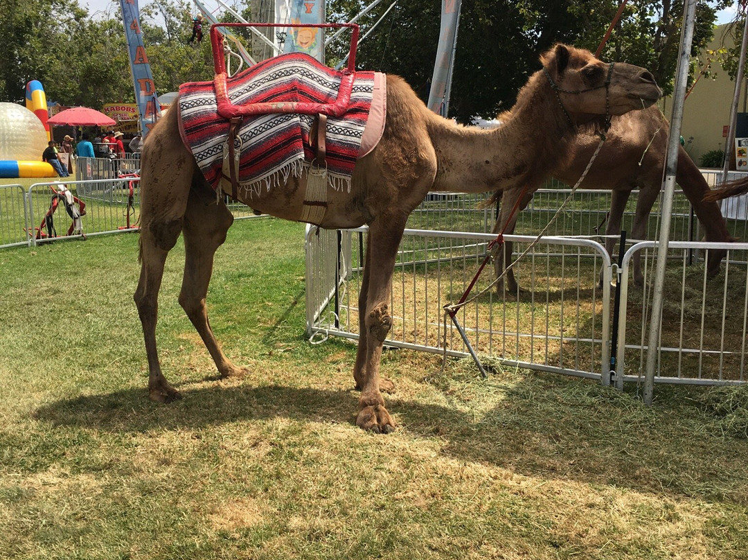 Santa Maria Fairpark-圣玛丽亚必去景点