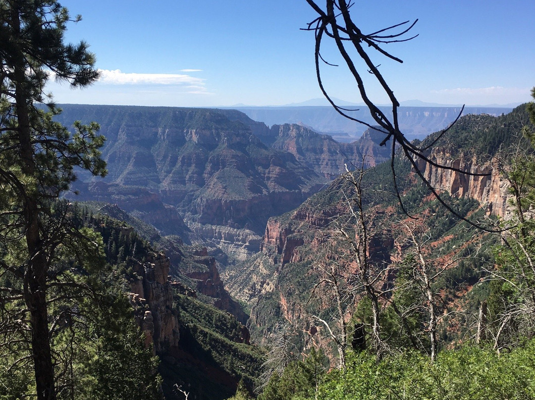 Grand Canyon North Rim Mule Rides -Tour-特罗皮克必去景点
