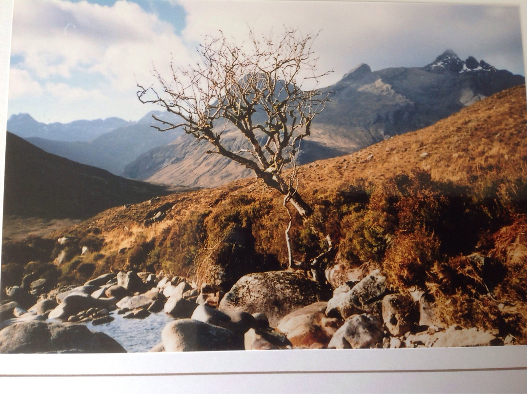 Trotternish Art Gallery景点图片