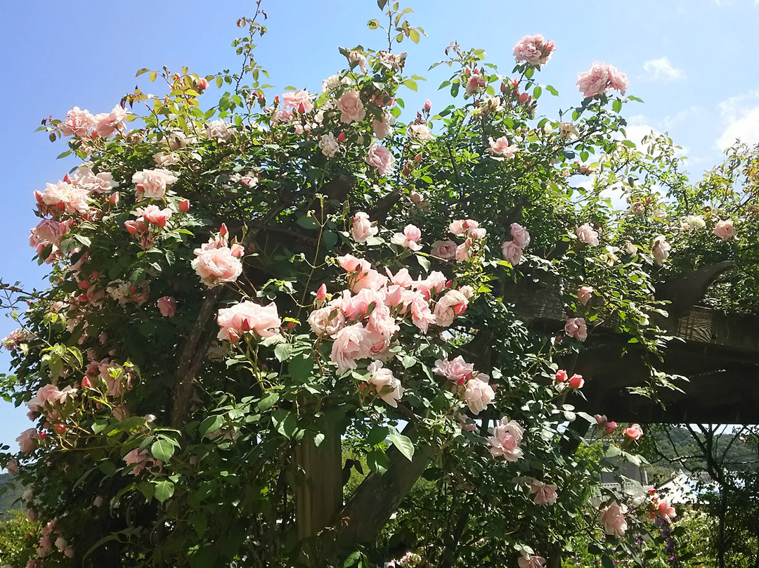 Kumayama English Garden景点图片
