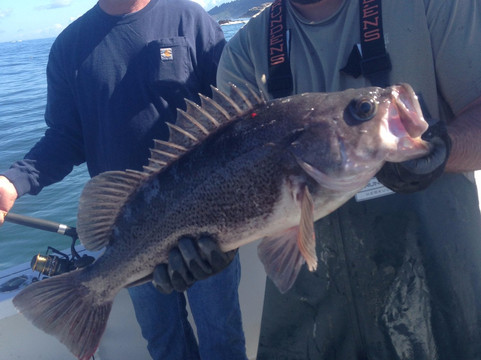 Prisoner Rock Charters-Trinidad必去景点