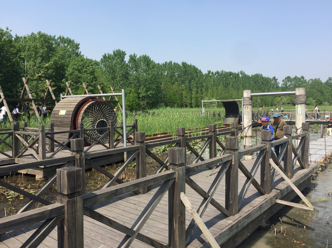 泰州溱湖湿地农业生态园-姜堰市必去景点