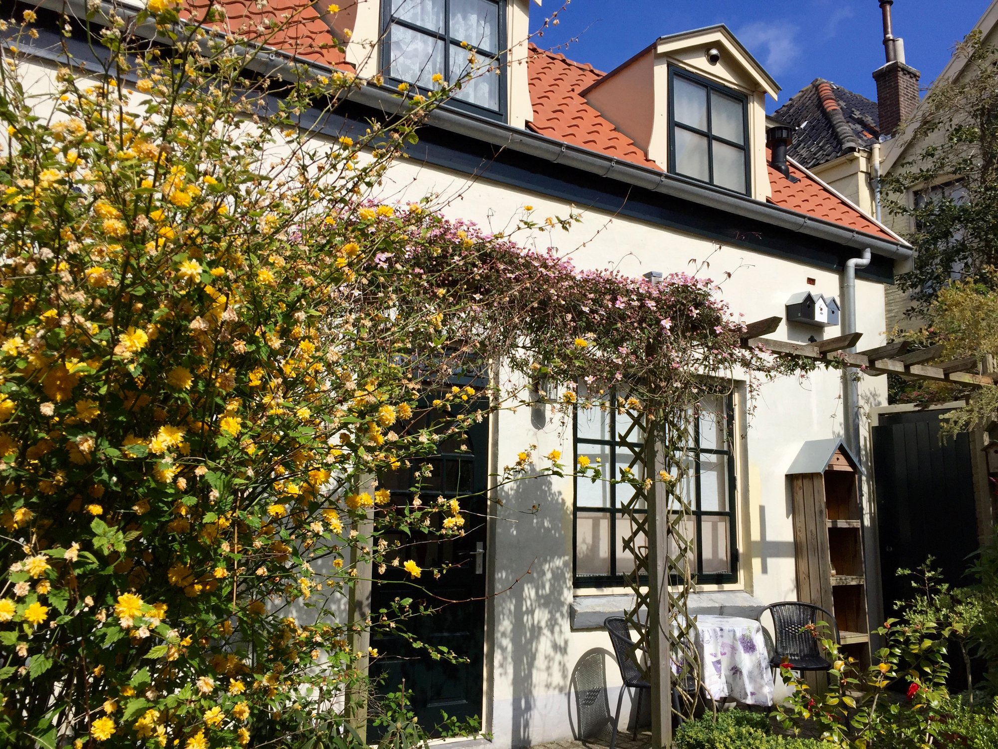 Onder de Pannen-酒店景观
