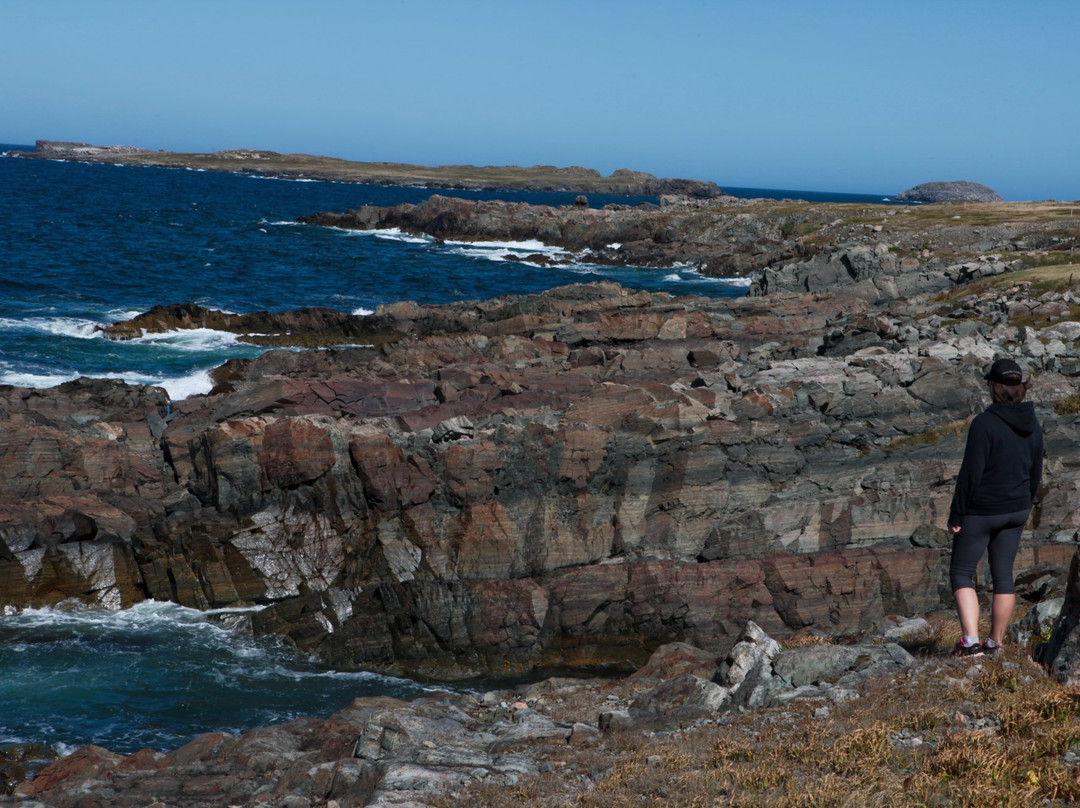 Cape Shore Trail景点图片