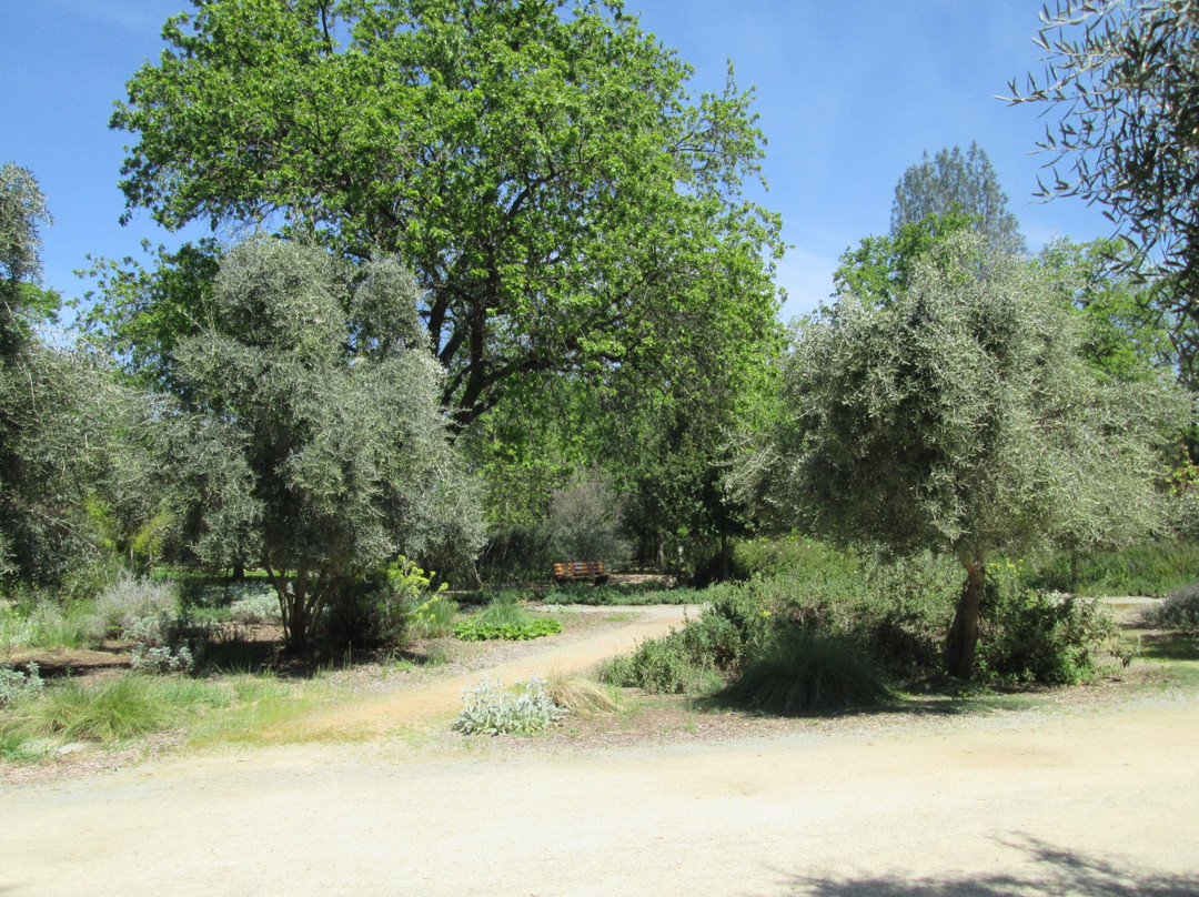 McConnell Arboretum & Botanical Gardens景点图片